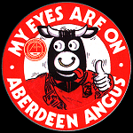 Football Mascot