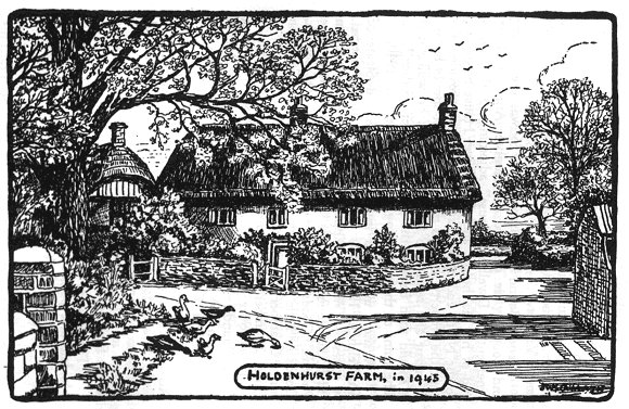 Holdenhurst Village