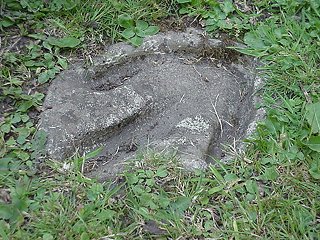Dinosaur Footprint Fossil